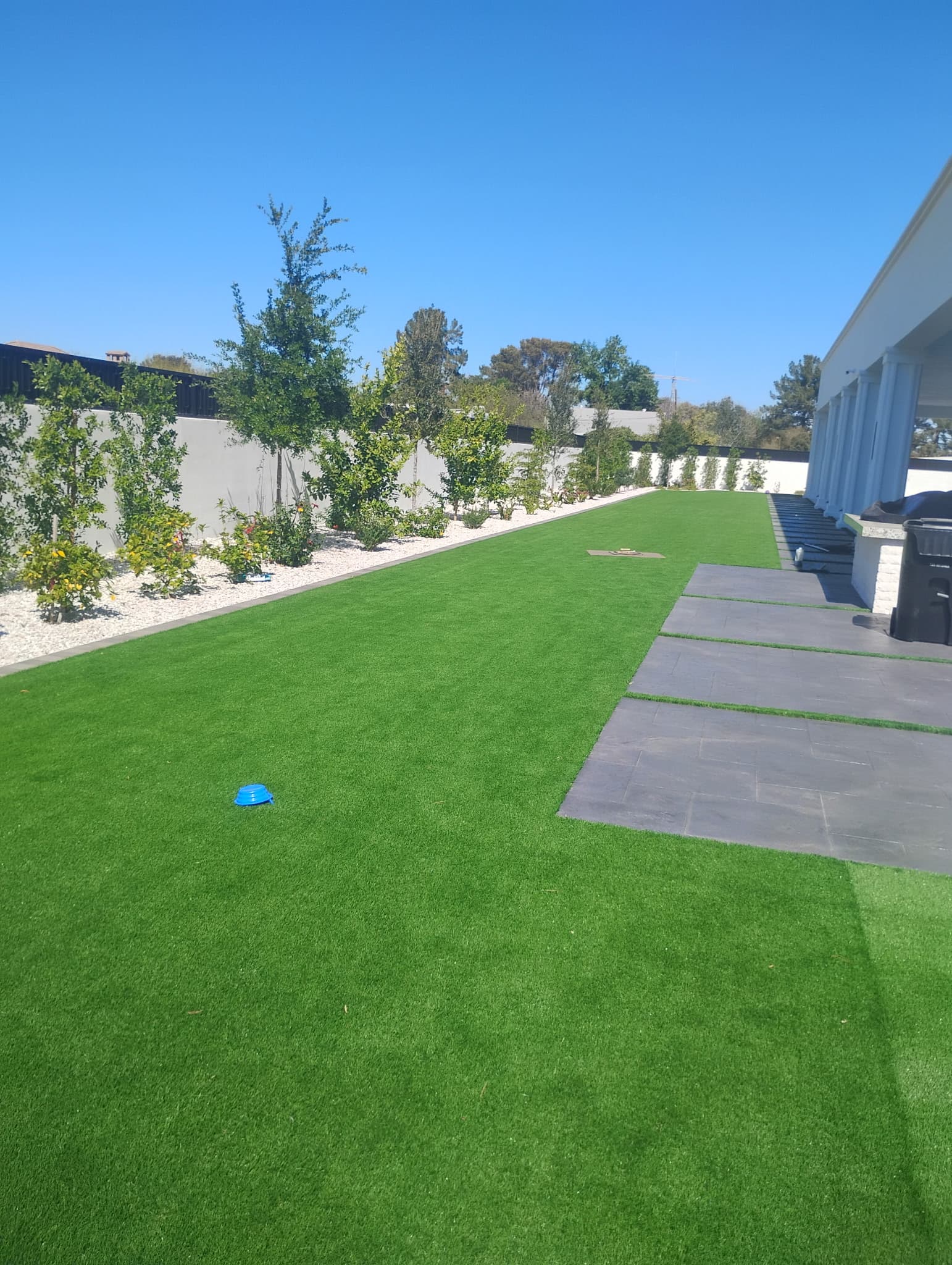 Long backyard with artificial turf, paver walkway, and perimeter planting